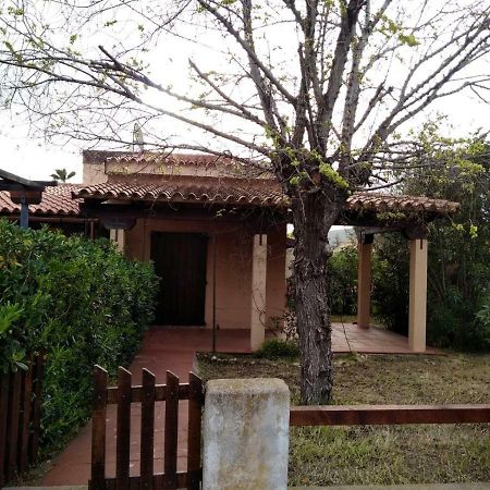 Monolocale San Teodoro Apartment San Teodoro  Ngoại thất bức ảnh